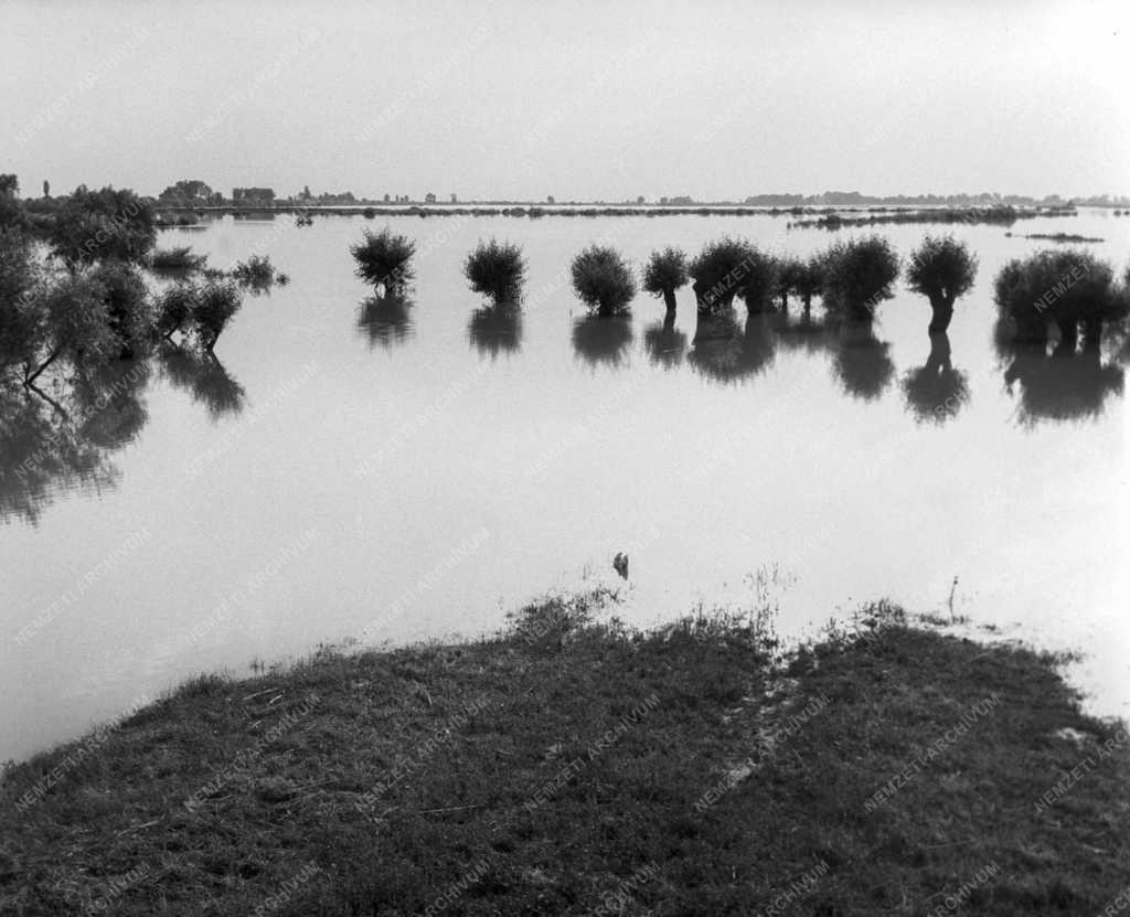 Katasztrófavédelem - Árad a Tisza és a Hármas-Kőrös