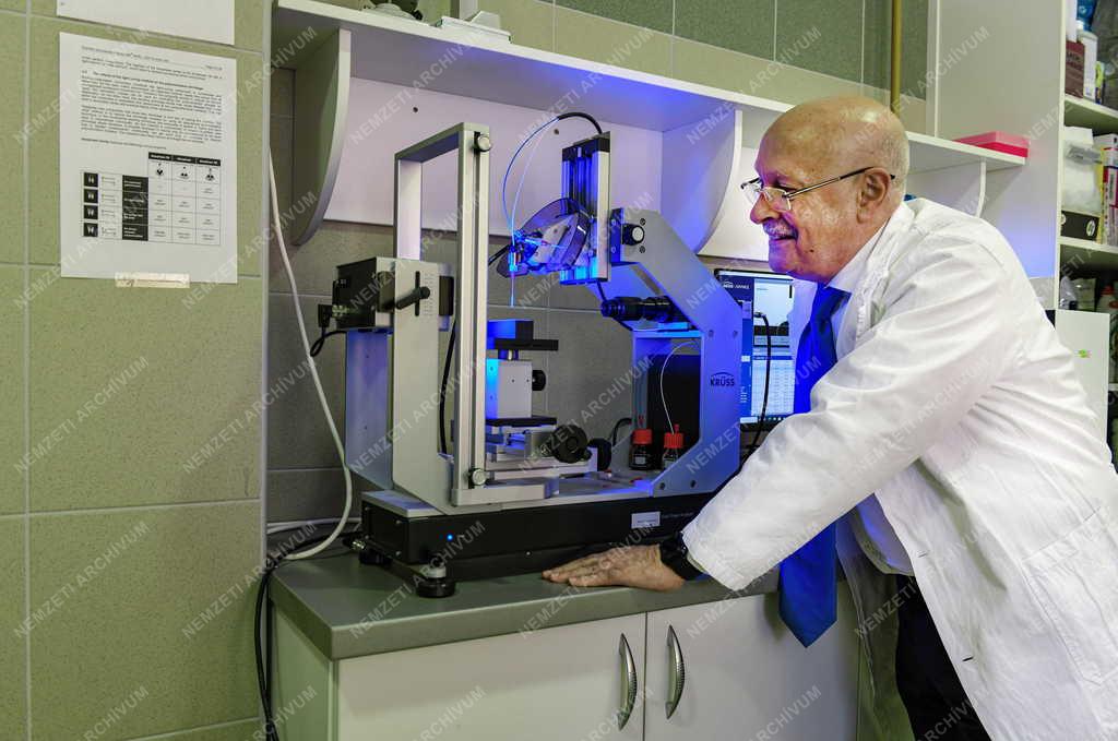 Egészségügy - Oktatás - Elismerés - Prof. Dr. Hegedűs Csaba egyetemi tanár