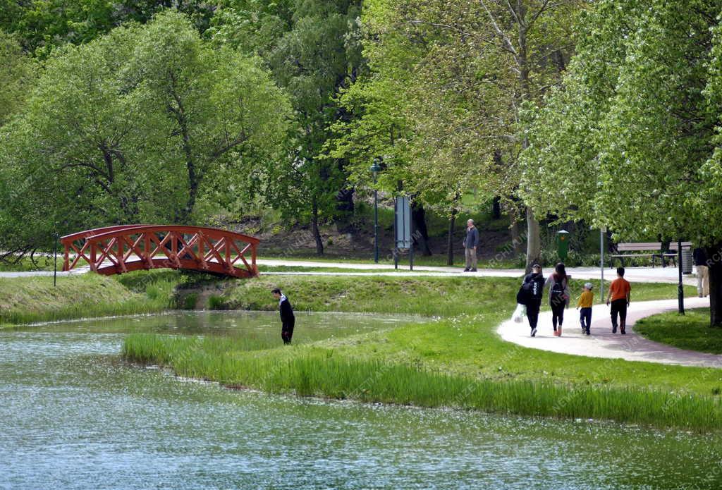 Városkép - Tatabánya - Millenniumi Közpark