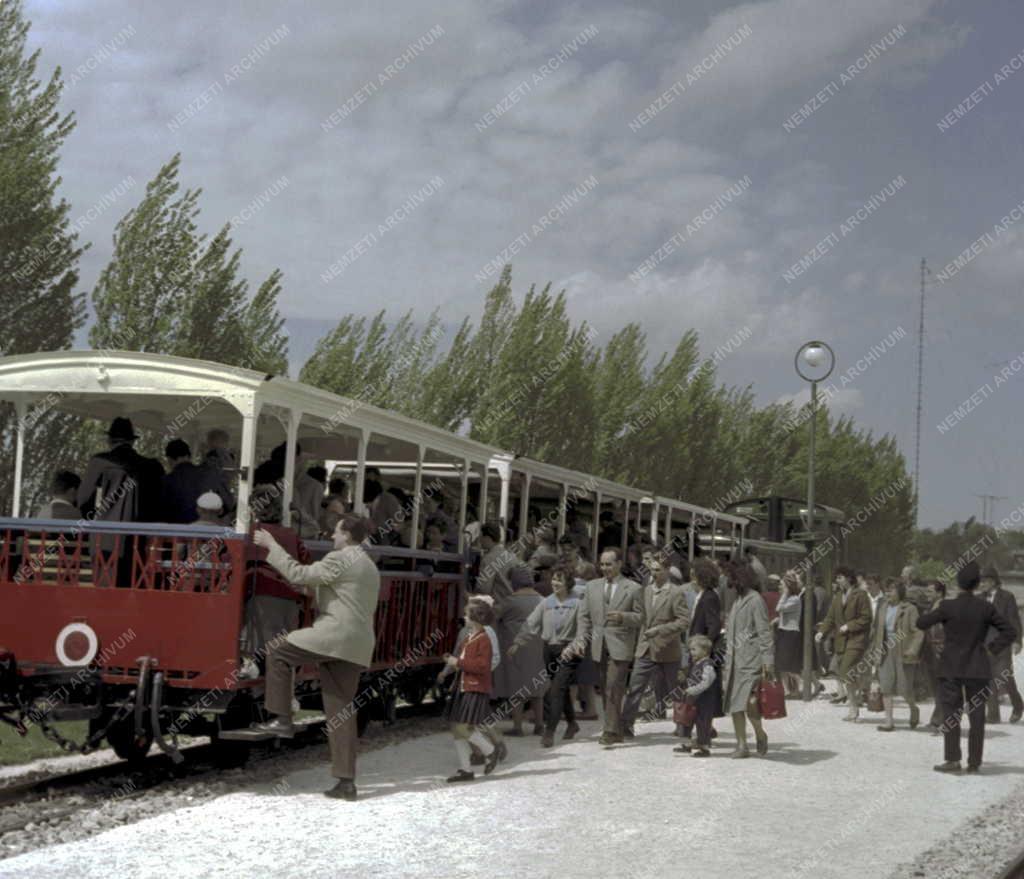 Közlekedés - Úttörővasút a Budai-hegységben