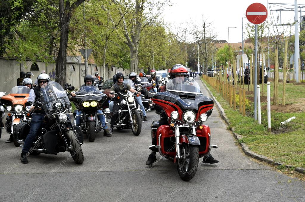 Természetvédelem - Közlekedés - Fákat ültetett a Budapest Chapter Zuglóban