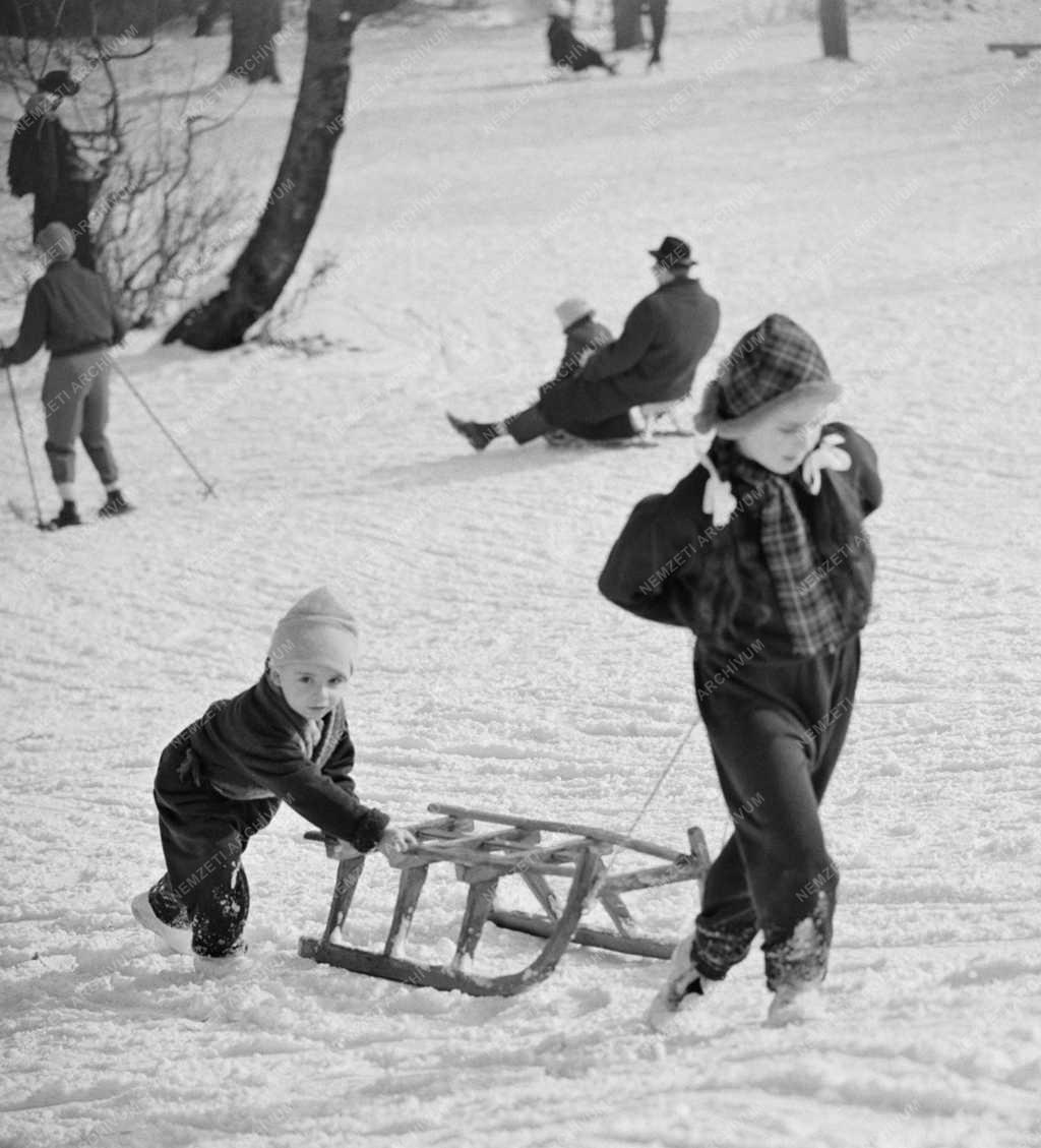 Szabadidő - Sport - Szánkóverseny a Normafánál