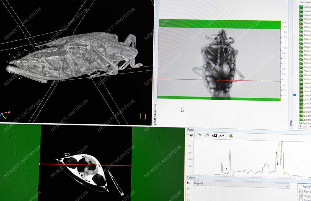 Tudomány - Debrecen - Computer tomográf az egyetemen