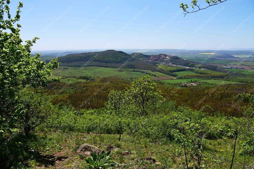 Tájkép - Szanda