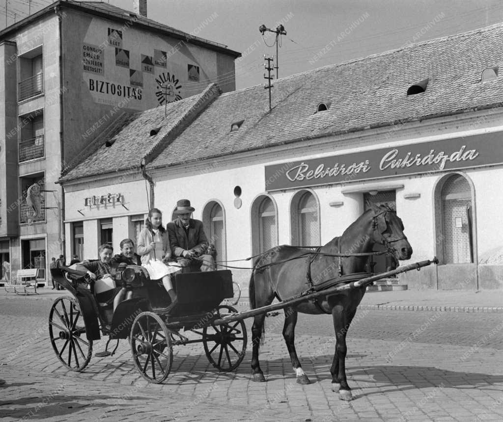 Érdekesség - Marina Concetta, a Vörös Fény Termelőszövetkezet vendége