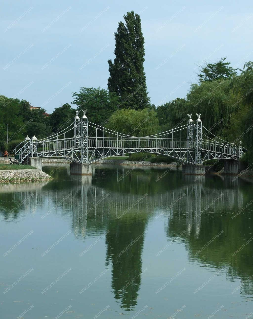 Városkép - Pétfürdő - Az Ifjúsági-tó és hídja a pihenőparkban