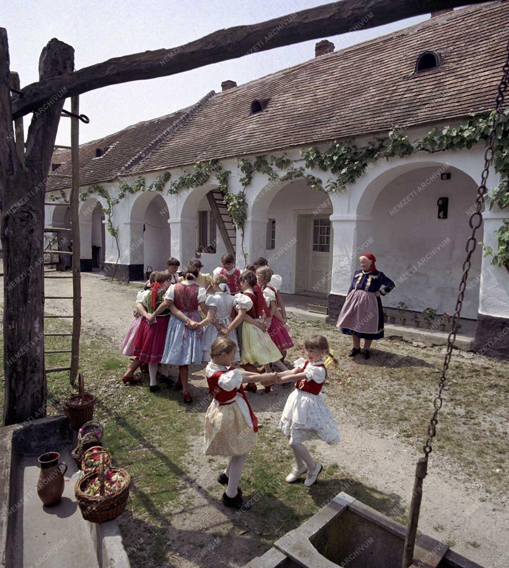 Folklór - Népszokás - Pünkösdölés Vitnyéden