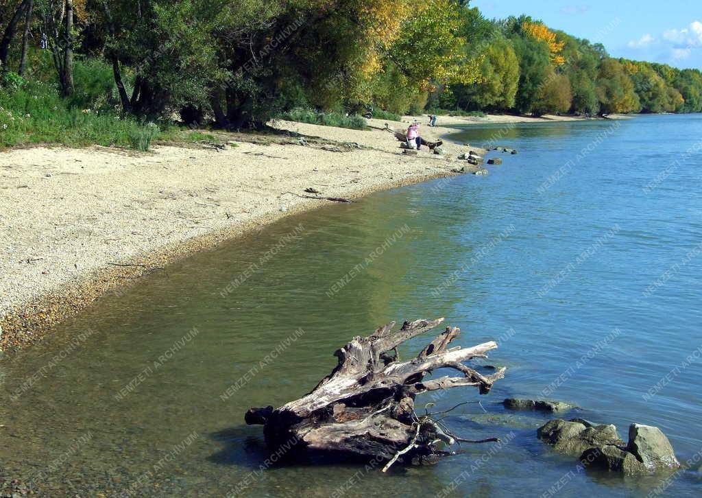 Természet - Budapest - Ősz a nagytétényi Duna-parton