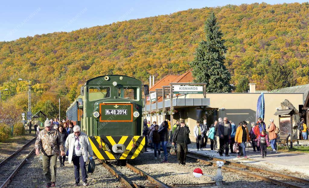 Közlekedés - Turizmus - Királyréti Erdei Vasút
