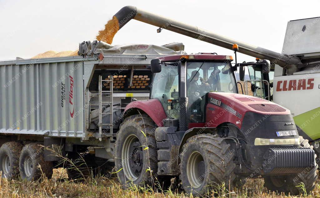 Mezőgazdaság - Őszi termény betakarítás Pilisvörösvárnál