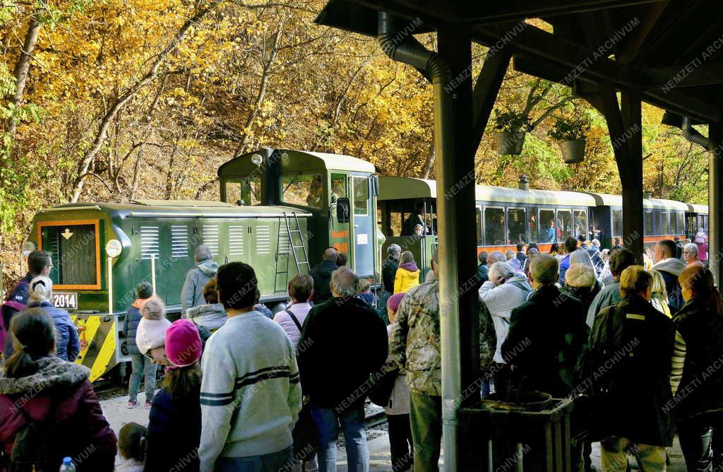 Közlekedés - Turizmus - Királyréti Erdei Vasút