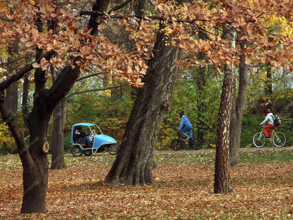 Természet - Park - Ősz a Margitszigeten