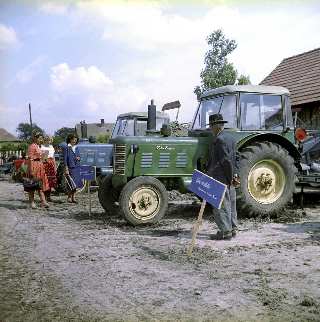 Gazdaság - 63. Országos Mezőgazdasági Kiállítás