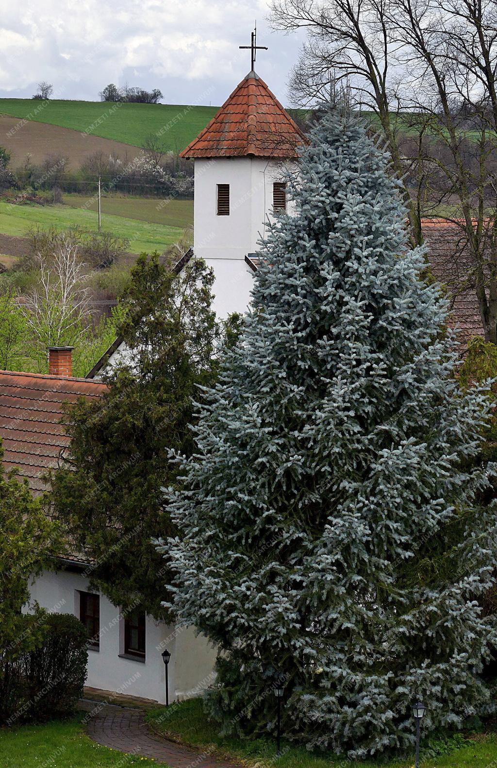 Település - Felsőmocsolád - Római katolikus templom