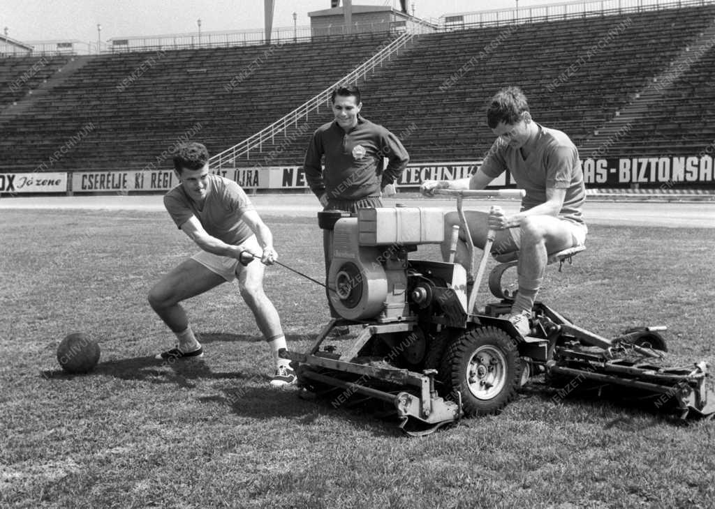 Sport - Labdarúgás -  A válogatott készül a Svédország elleni mérkőzésre