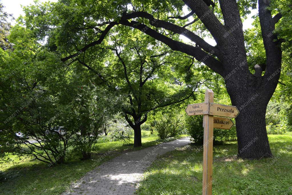 Tárgy - Budapest - A Budai Arborétum tájékoztató táblája