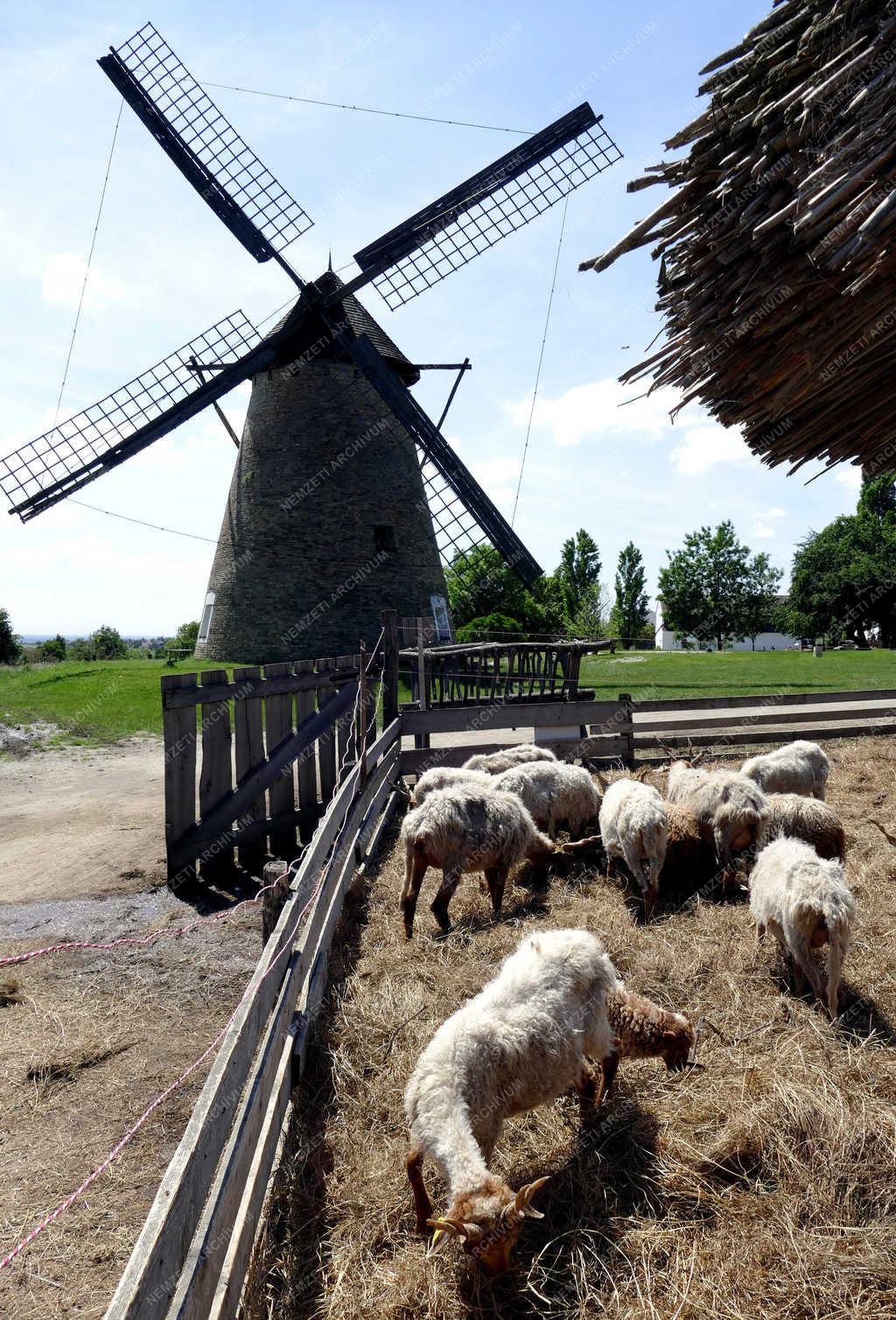 Skanzen - Szentendre - A nagykunsági állattartó tanya 