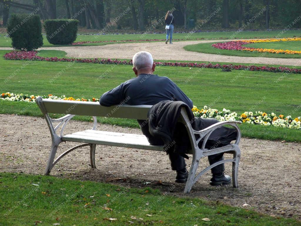 Életkép - Budapest - Magányos férfi a közparkban