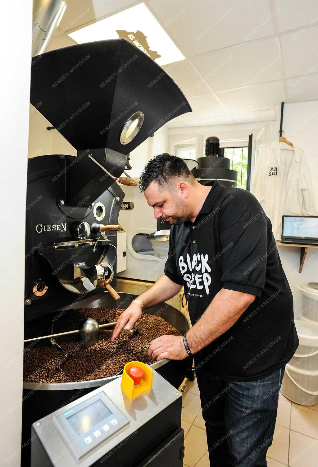 Vendéglátás - Debrecen - Tóth Gábor barista és kávépörkölő mester 