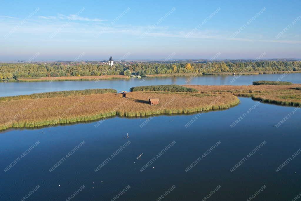 Táj - Tisza-tó
