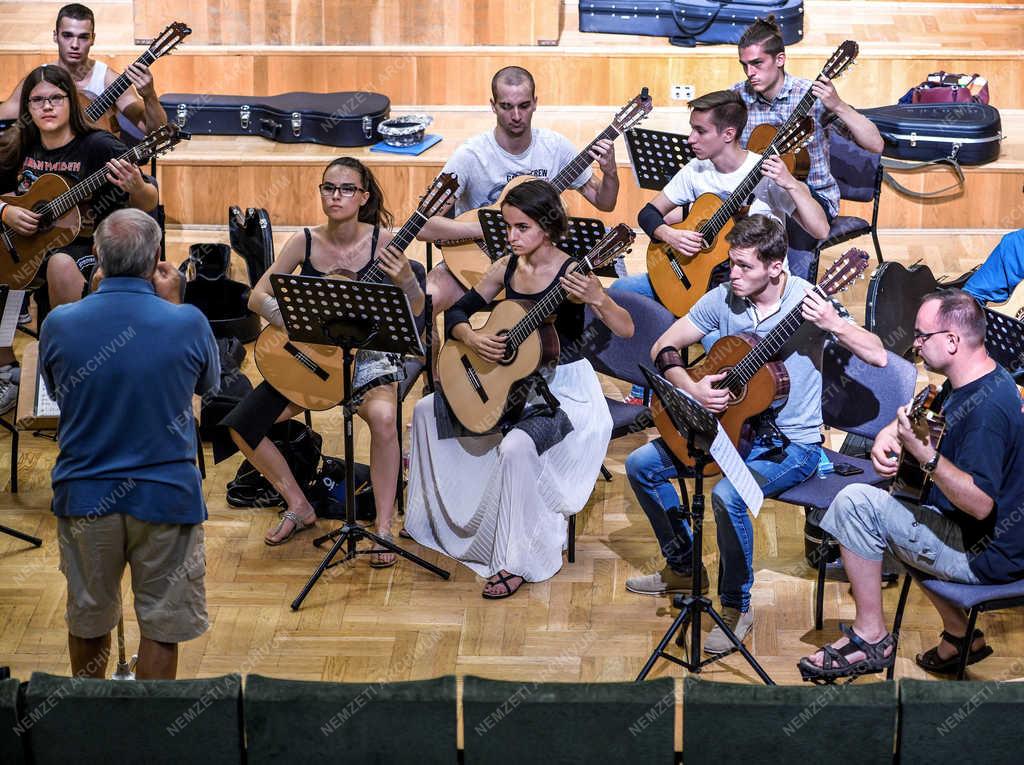 Művészet - Debrecen - Gitáros találkozó 