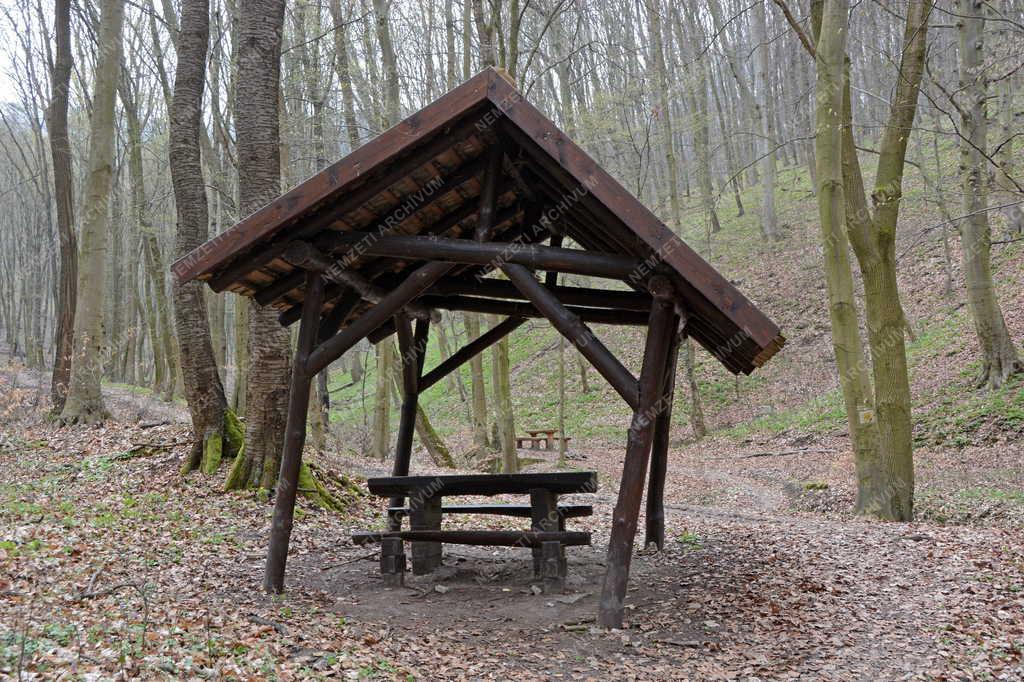 Természet - Zebegény - Turista pihenőhely