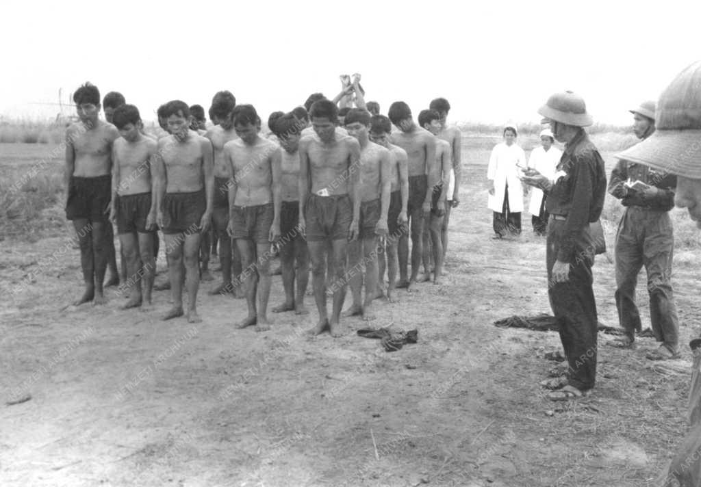 Katonai kérdés - Vietnam - Hadifoglyok 