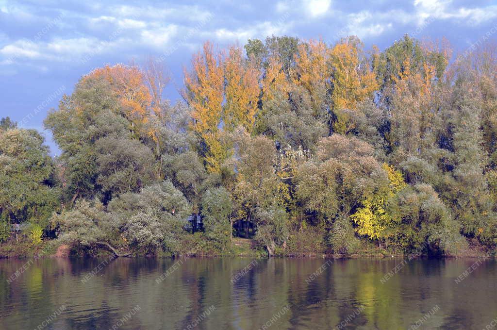 Tájkép - Tokaj - Tisza-part