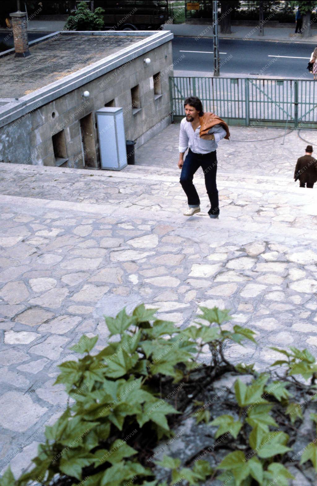 Animációs film - Rofusz Ferenc