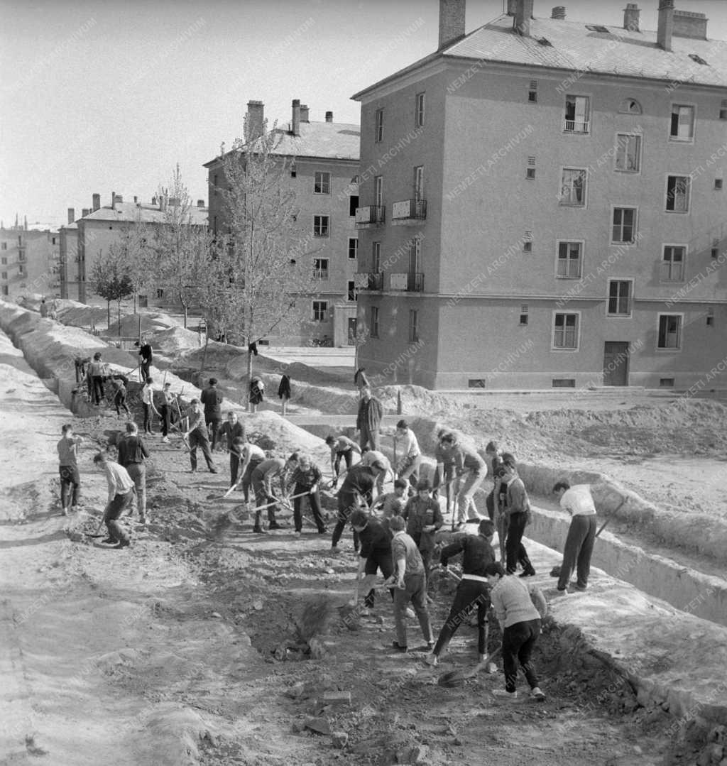 Szervezet - Dunaújvárosi fiatalok társadalmi munkája