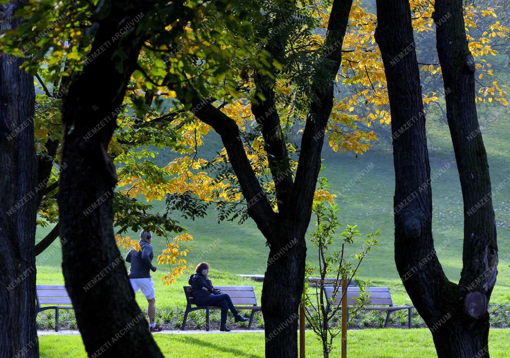 Természet - Budapest - Ősz a Tabán parkjában