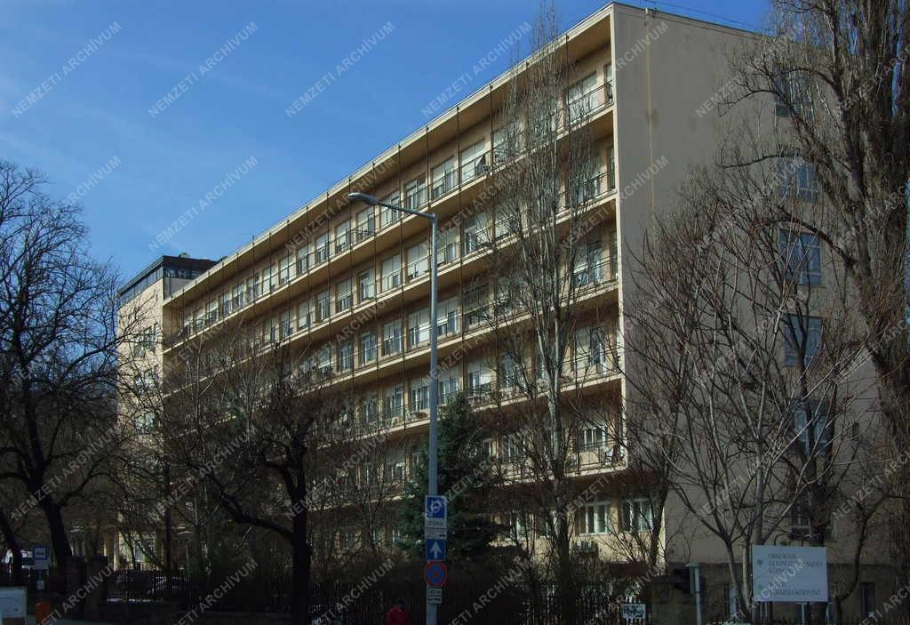 Egészségügy - Budapest - Országos Gerincgyógyászati Központ