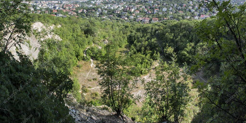 Tájkép - Budapest - A Mátyás-hegyi kőfejtő 