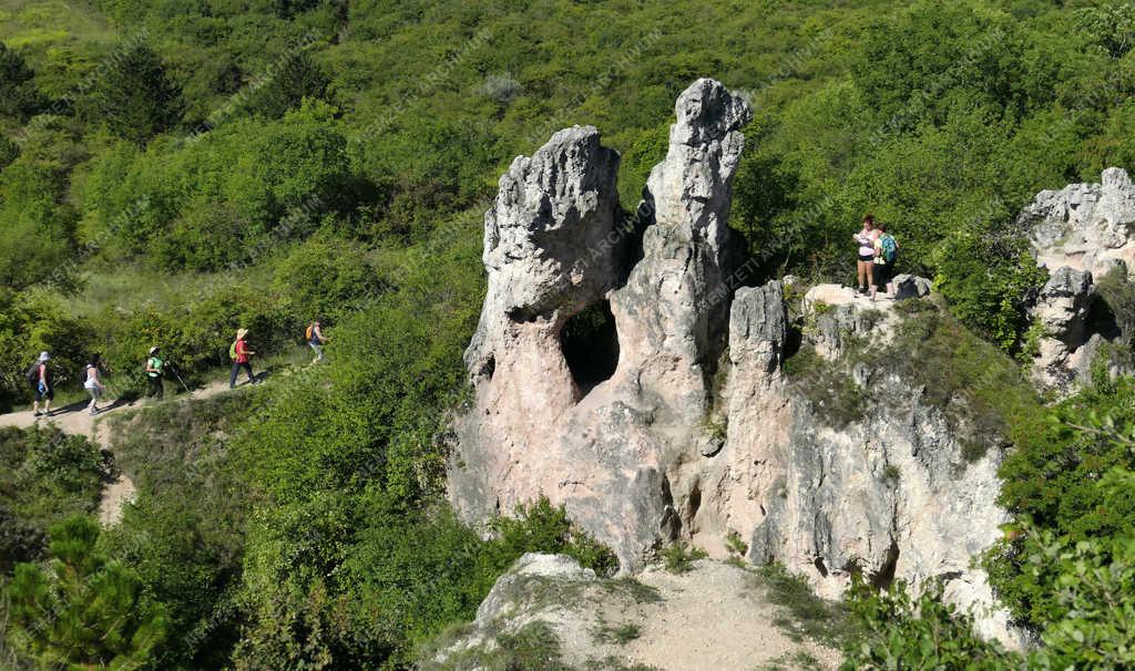 Turizmus – Pilisborosjenő – Látogatók a Teve-sziklánál