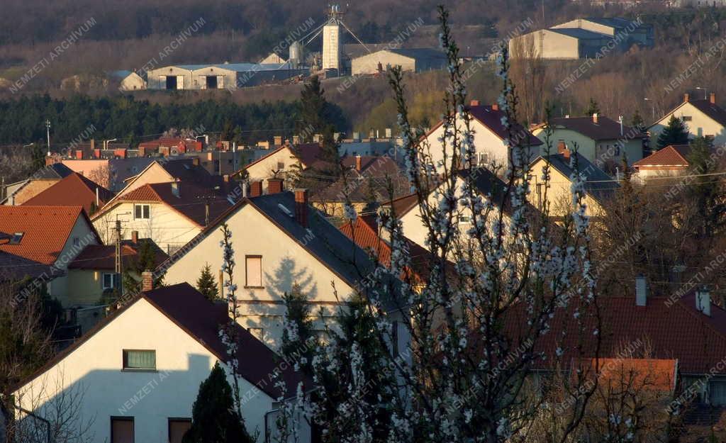 Városkép - Várpalota - A Loncsos városrész 