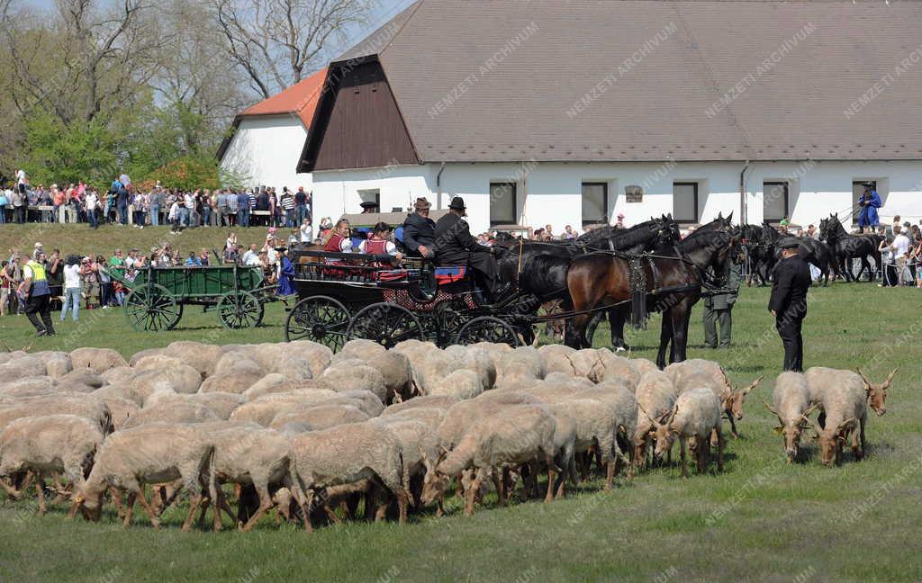 Idegenforgalom - Hortobágy - Megkezdődött a turistaszezon 