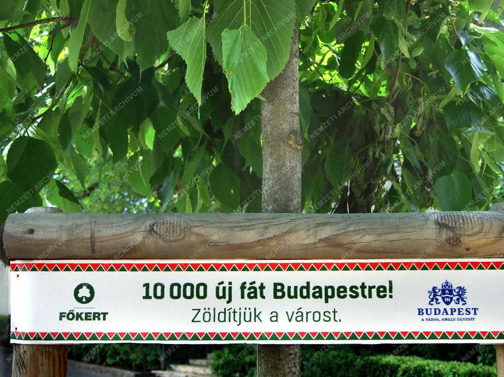 Természetvédelem - Budapest - Faültetési kampány a fővárosban