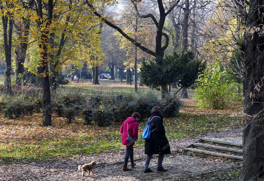 Természet - Budapest - Ősz a Városmajorban