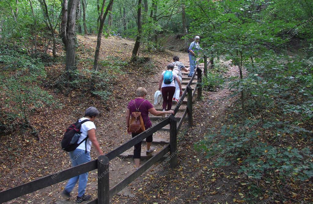 Belföldi turizmus - Solymár - Természetjárók az Alsó-Jegenye-völgyben