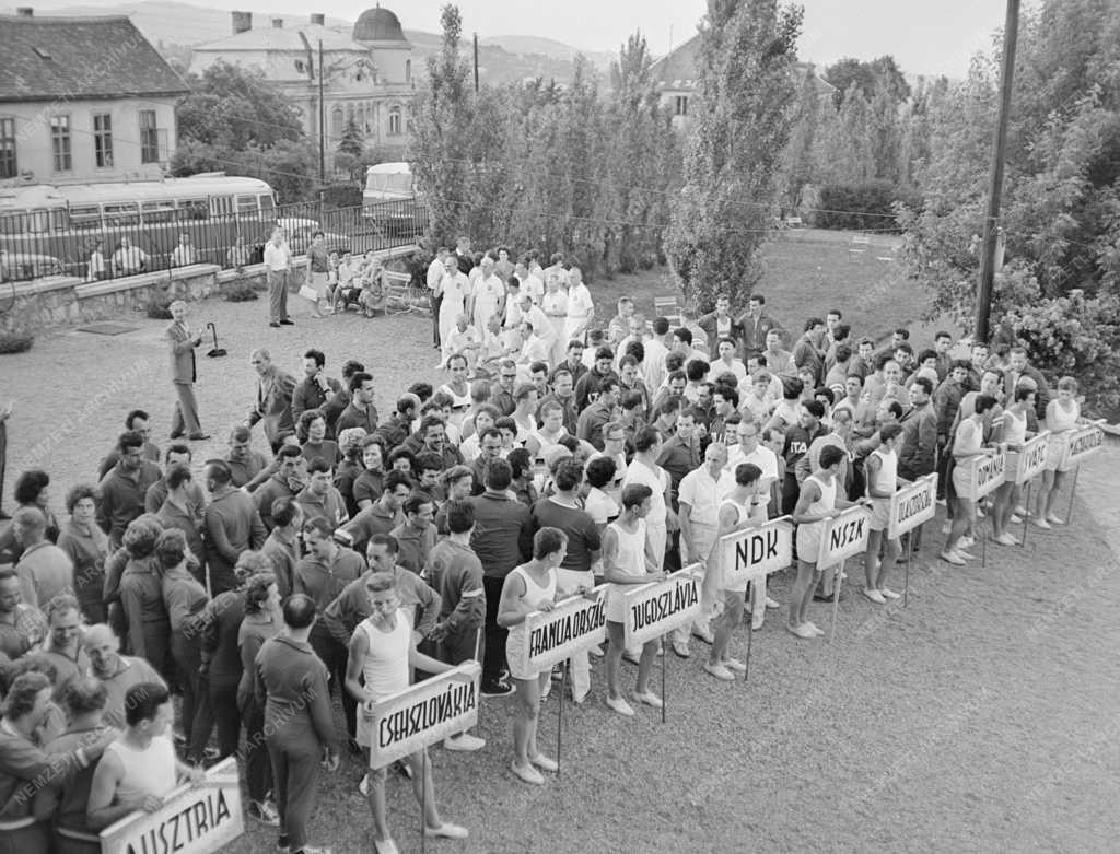 Sport - I. Teke Európa-bajnokság