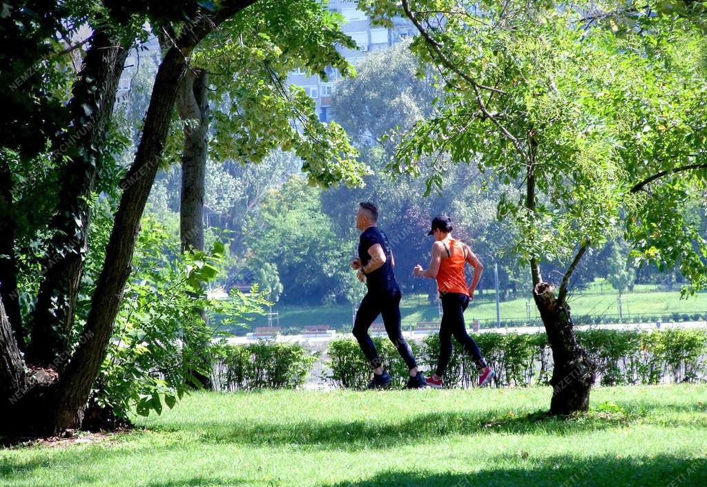 Egészségmegőrzés - Budapest - Sportoló pár fut a Margitszigeten 