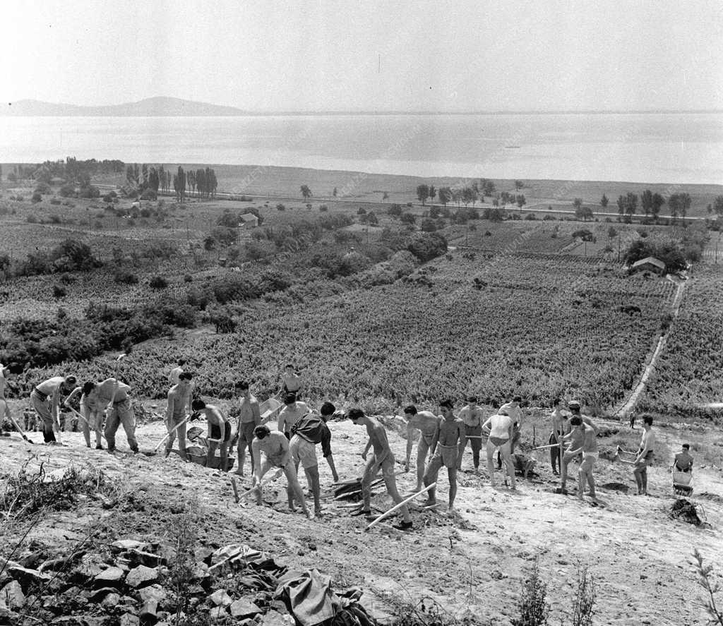 Balaton - Építőtábor