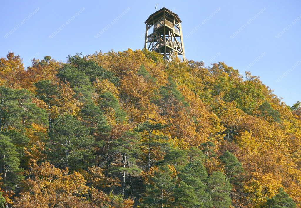 Turizmus - Királyrét - Várhegy-kilátó a Börzsönyben