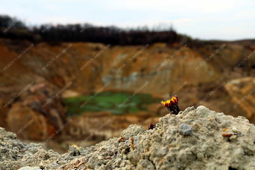 Bányászat - Kultúra - Emlékpark az egykor a bauxit bányászat miatt megszűnt Iharkúton