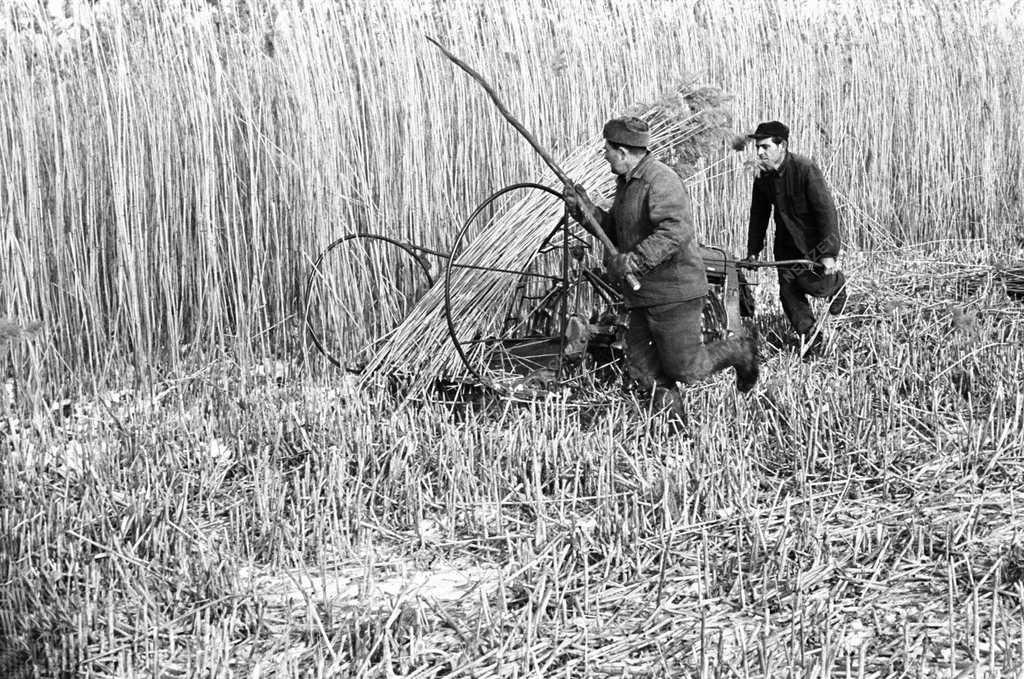 Életképek - Tél Velencén