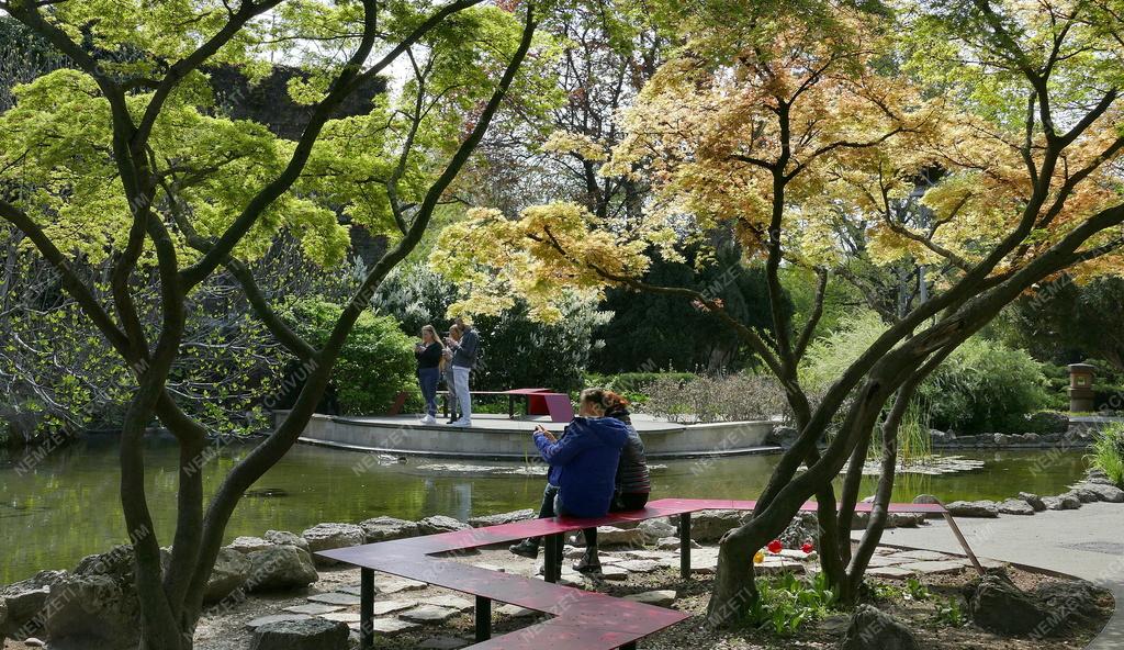 Városkép - Budapest - Tavasz a Margit-szigeten