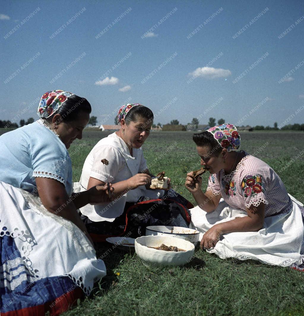 Folklór - Ünnepi közös faluebéd Drágszélen