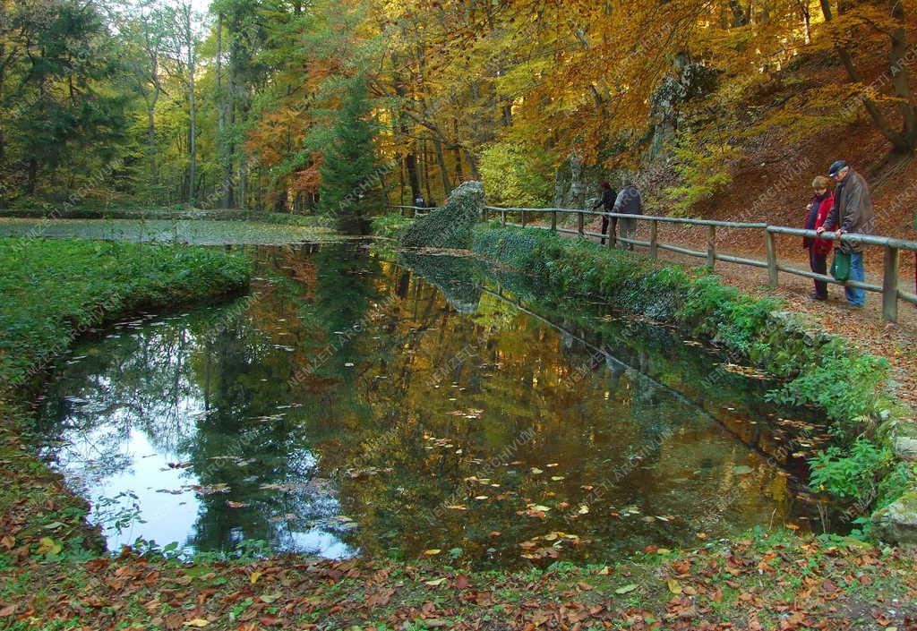 Természet - Ősz a Bükkben - Erdei tó