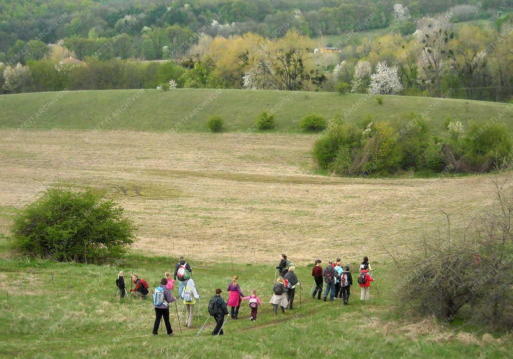 Vértes - Természet - Sport - Turisták 