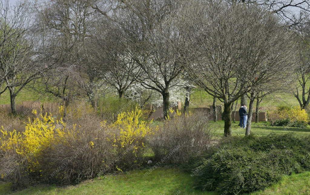 Természet - Tavasz a fővárosi parkban